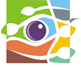 http://www.zachatie.org/drz2010/MF_logo_3