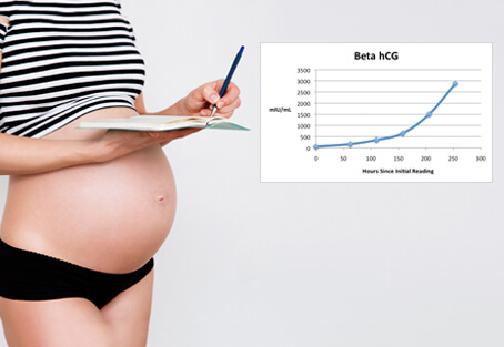 Хормонът на бременността - ЧХГ (hCG)
